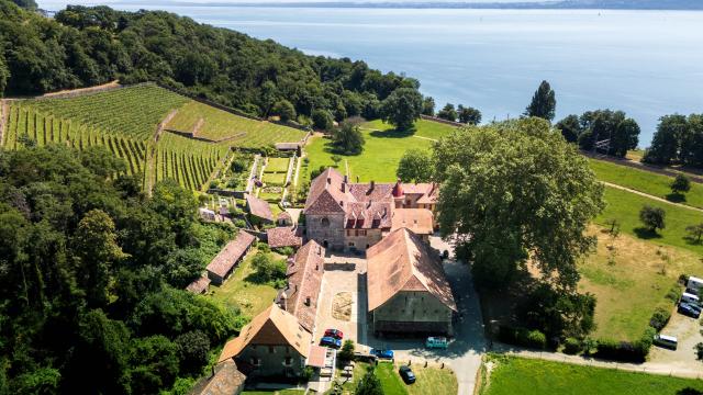 chartreuse-de-la-lance-et-lac_DEFAULT.jpg