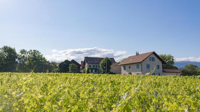arnex-sur-orbe-village-viticole_DEFAULT.jpg