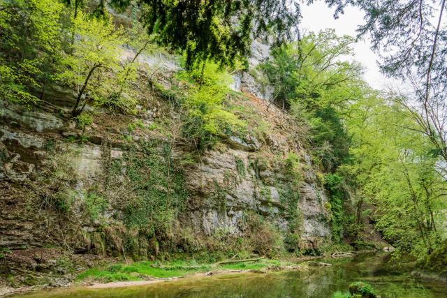 gorges-de-l-orbe-vers-montcherand_DEFAULT.jpg