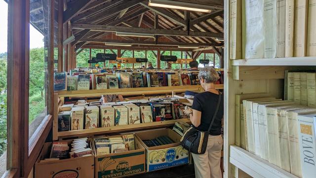 foire-aux-livres-de-romainmotier_DEFAULT.jpeg