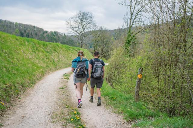 chemin-de-randonnee-vers-les-clees_DEFAULT.jpg