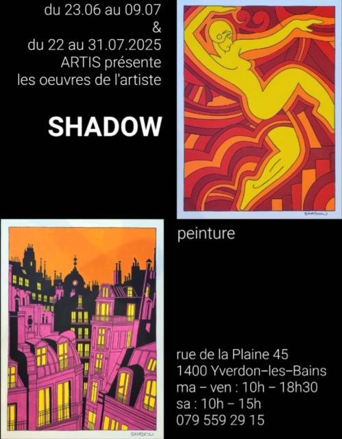 exposition-de-peinture-a-artis-shadow_DEFAULT.jpg