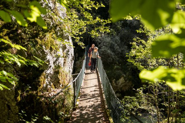 adnv-gorges-de-l-orbe-c-suisse-tourisme_DEFAULT.jpg