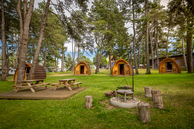 camping-orbe-c-david-birri-tcs-camping-7_DEFAULT.jpg