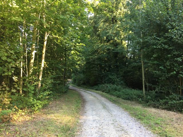 randonnee-tine-de-conflens-2020-atmrt-4_DEFAULT.jpeg
