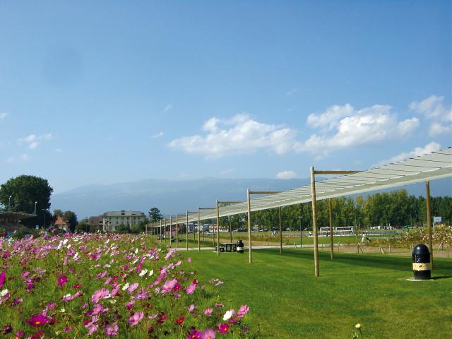 yverdonlesbainsregion-wakker-rives-du-lac_DEFAULT.jpg