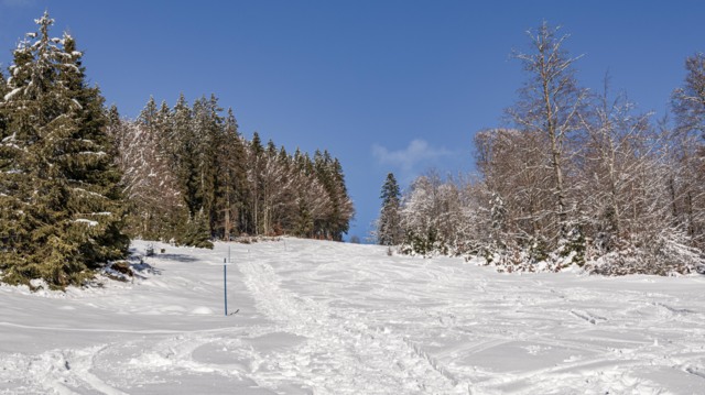 movement-track-les-replans-les-petites-roches_DEFAULT.jpg