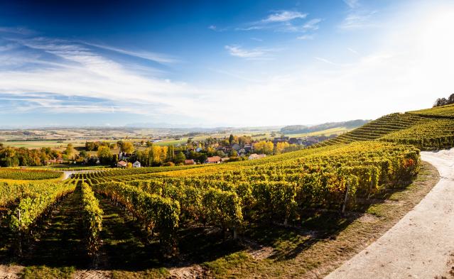www.vincentbourrut.ch