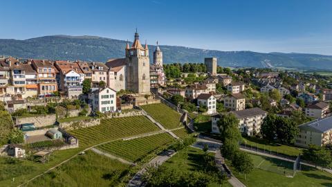 esplanade-du-chateau-5-c-adnv-lionel-bourgeois-480-jpg_DEFAULT.jpg