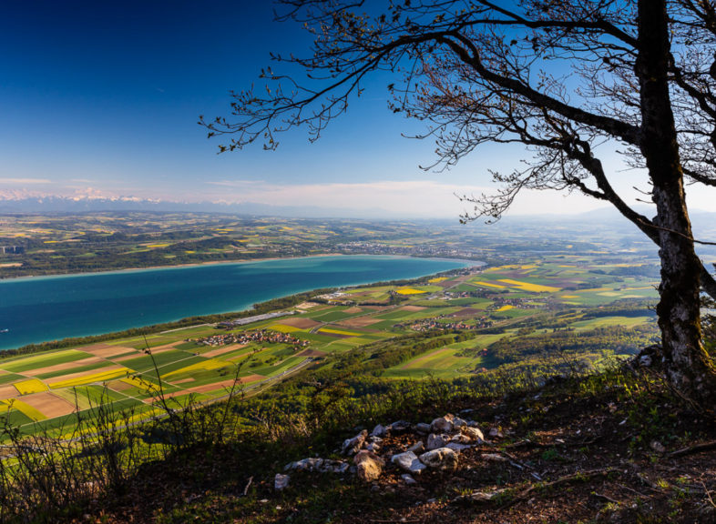 Mont Aubert © Vincent Bourrut - www.vincenbourrut.ch