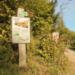 Bois de Forel © Pierre-Abraham Rochat