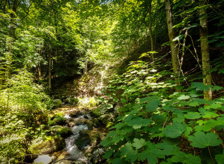 Gorges de Covatannaz