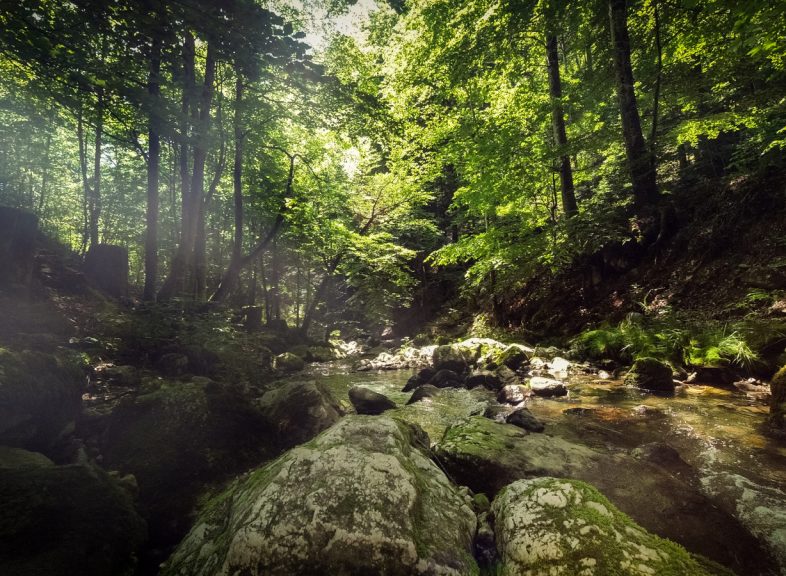 Gorges de Covatannaz