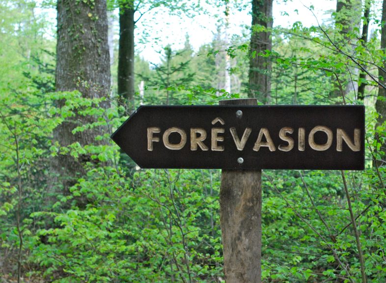 Forêvasion - Valérie Boesiger