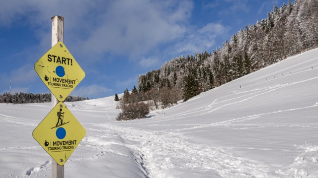movement-track-centre-sportif-de-sainte-croix-les-petites-roches_DEFAULT.jpg