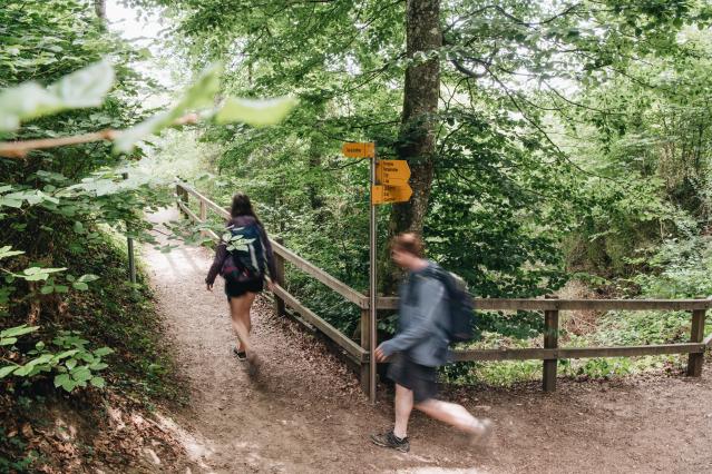 randonnee-a-pied-tine-de-conflens-la-sarraz-c-raphael-dupertuis-59_DEFAULT.jpg