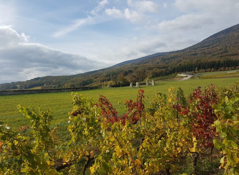 Domaine des 4 menhirs
