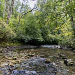 Rivière L'Arnon © ADNV - Yanick Turin