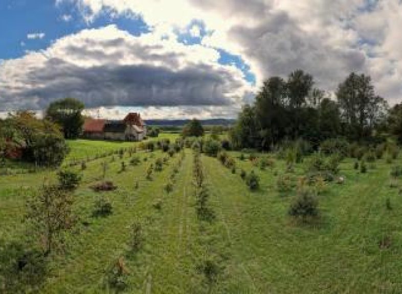 bonvillars-truffiere-didactique_DEFAULT.jpg
