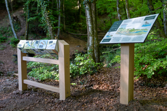 02-05-2026-romainmotier-inauguration-parc-naturel-regional-jura-vaudois-c-gabriel-lado_DEFAULT.jpg