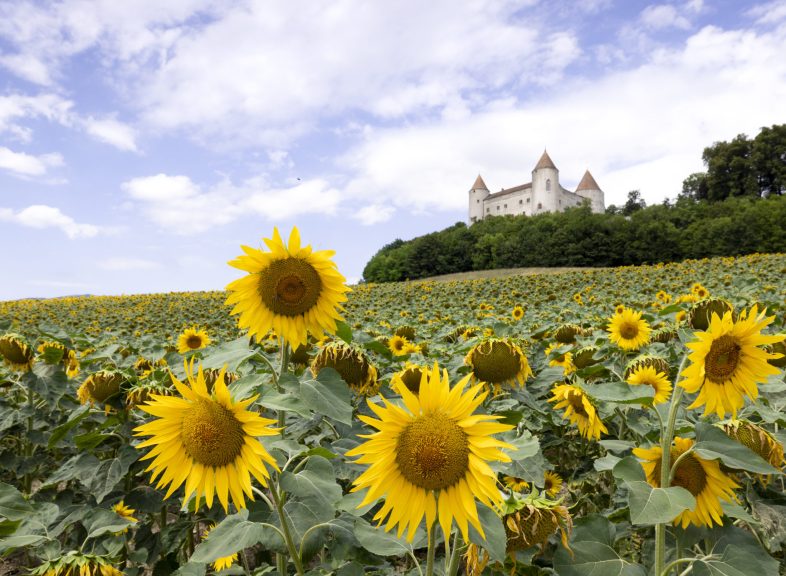 Château de Champvent © ADNV - Yanick Turin