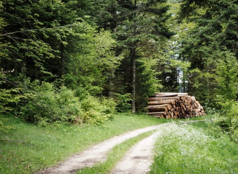 la-balade-gourmande-du-contrebandier-2-jpg_DEFAULT.jpg