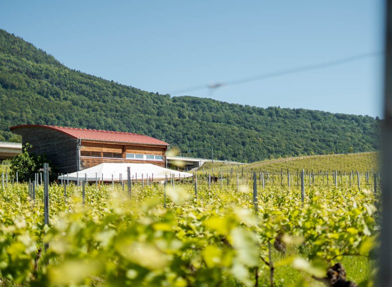 Domaine de Gourmandaz © ADNV - Lionel Bourgeois