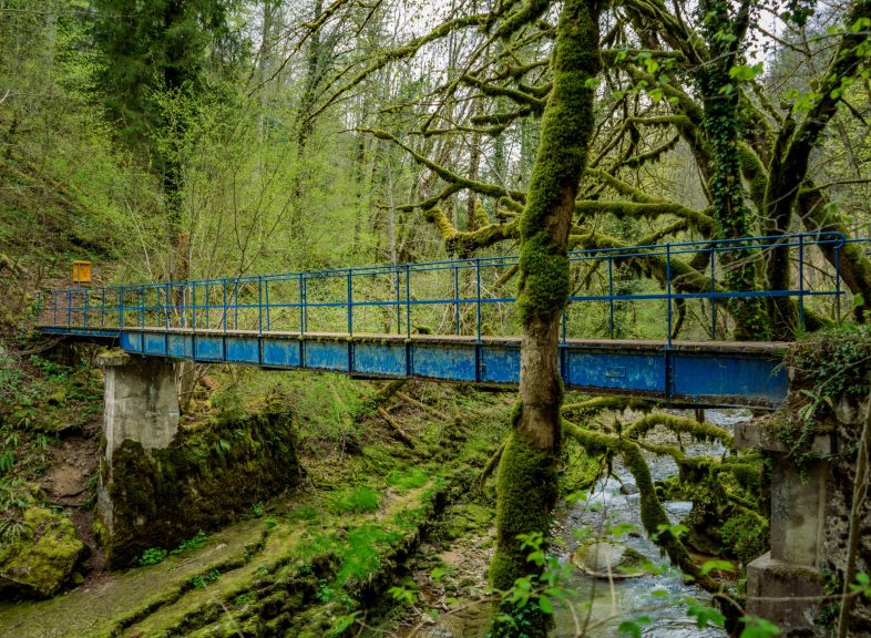 Passerelle bleue de Montcherand © ADNV - Lionel Bourgeois
