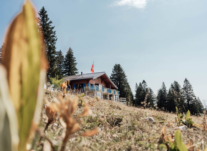 Chalet Les Avattes © ADNV - Lionel Bourgeois