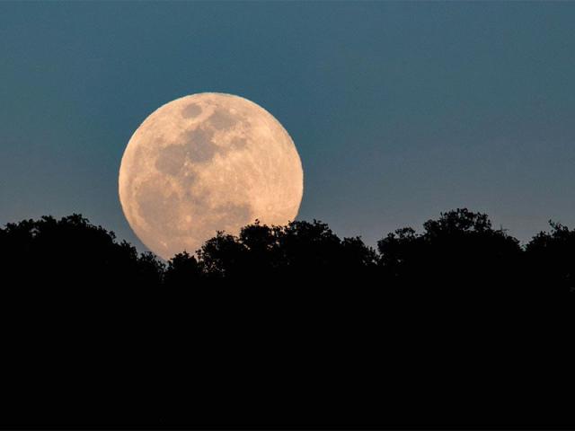 la-nuit-des-etoiles_DEFAULT.jpg