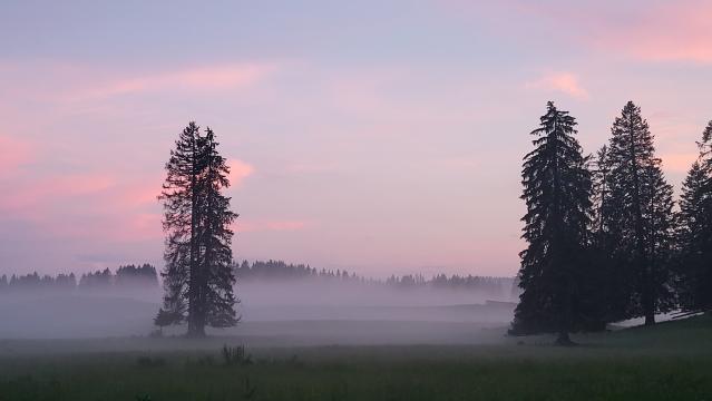nuit-de-la-rando-2025_DEFAULT.jpg