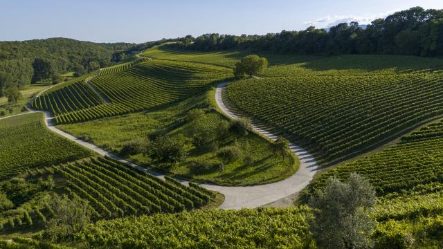 vignoble-de-bonvillars_DEFAULT.jpg