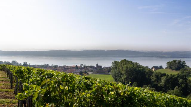 vue-sur-concise_DEFAULT.jpg