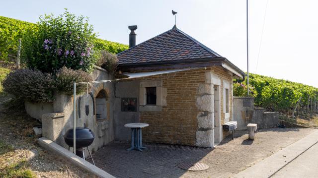 capite-du-domaine-st-agnan_DEFAULT.jpg