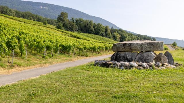 dolmen-d-onnens_DEFAULT.jpg