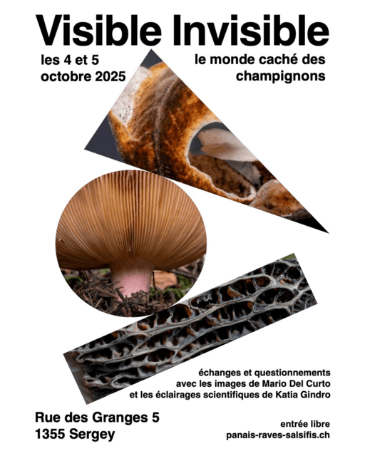 flyer_DEFAULT-2.png