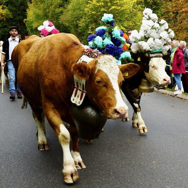 photo_DEFAULT-2.jpg