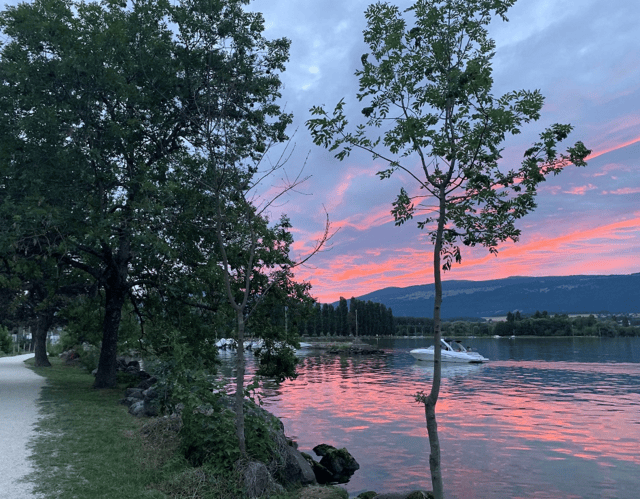 fete-du-port-photo_DEFAULT-1.png