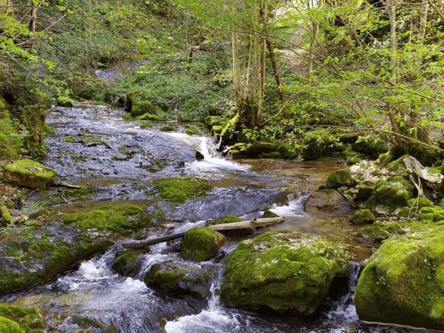 sentier-eau-nozon_DEFAULT-1.png