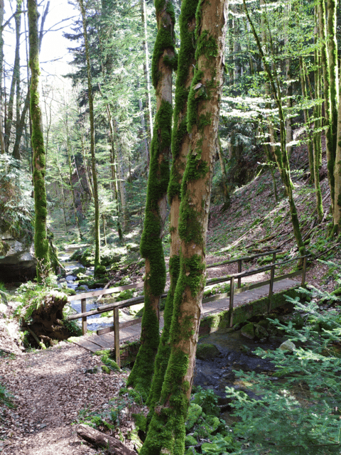 sentier-eau-nozon_DEFAULT.png