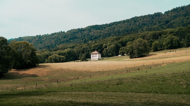 sentier-tevenol-vaugondry_DEFAULT-1.jpg
