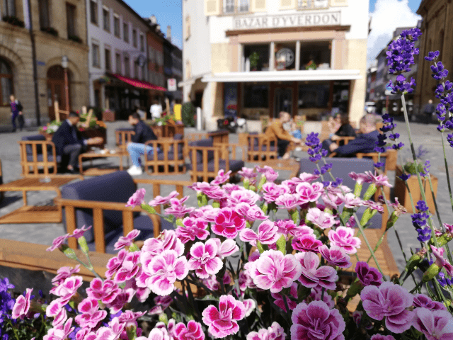 terrasse-hotel-de-ville_DEFAULT.png