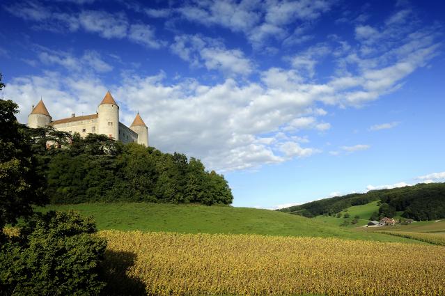 chateau-de-champvent_DEFAULT.jpg