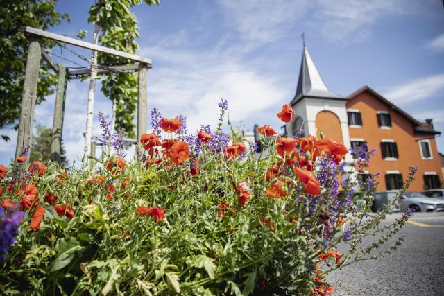 fleurs-biodivercity_DEFAULT.jpg
