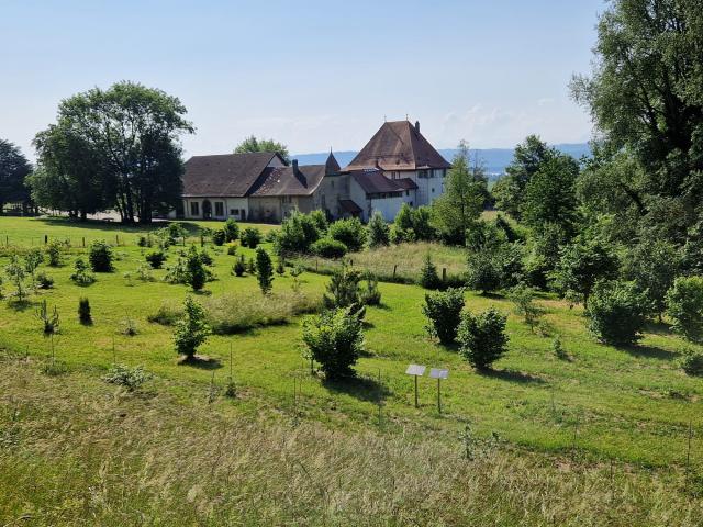 Visite de la Première Truffière Didactique d’Europe