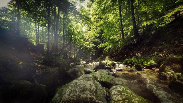 Gorges de Covatannaz © Vaud Promotion