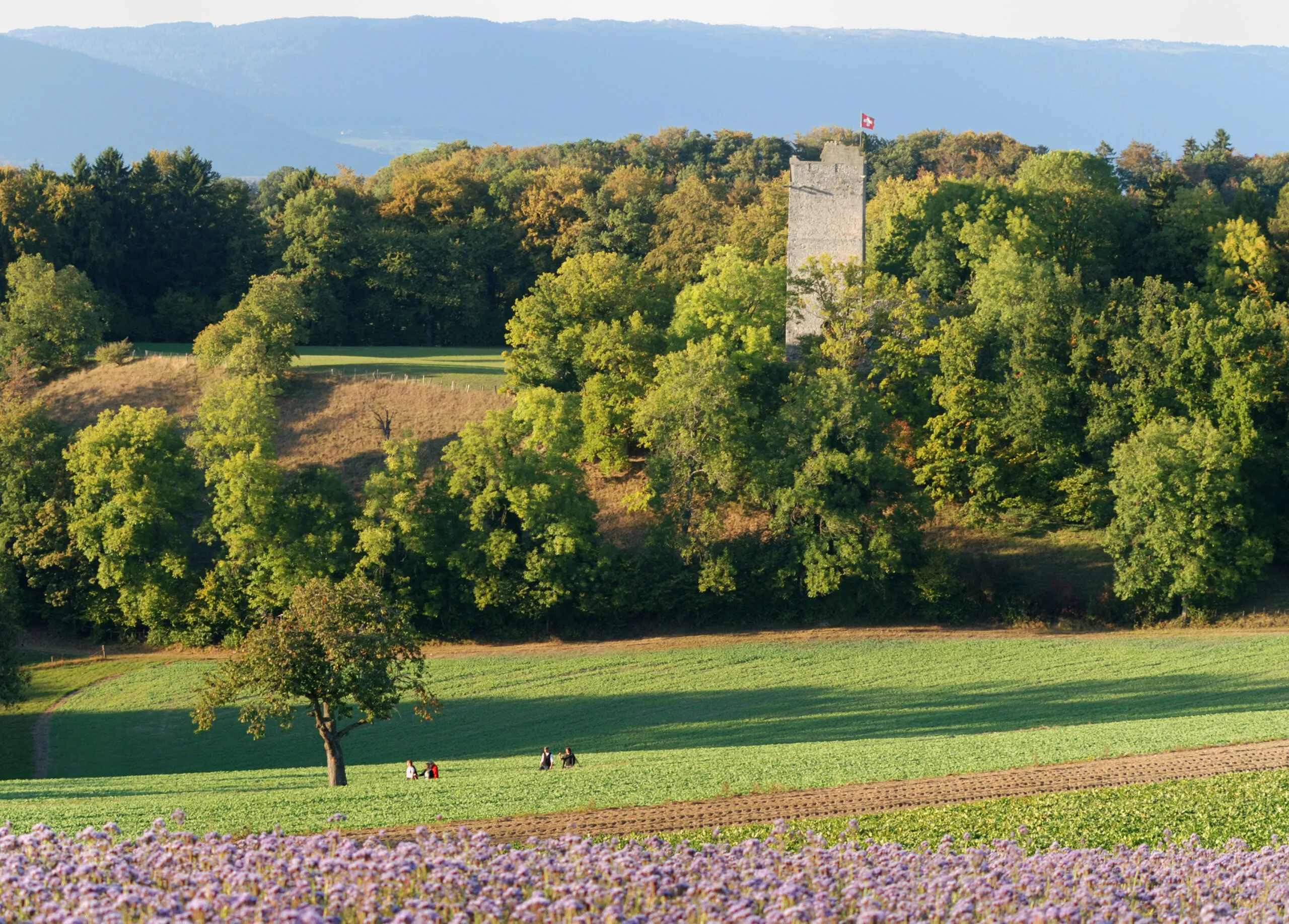 Vallon des Vaux © claudejaccard.com