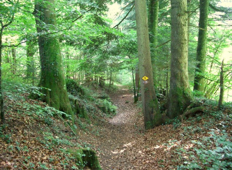 Môtiers-Mauborget - De forêts en pâturages