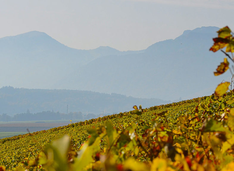 Domaine La Boulaz