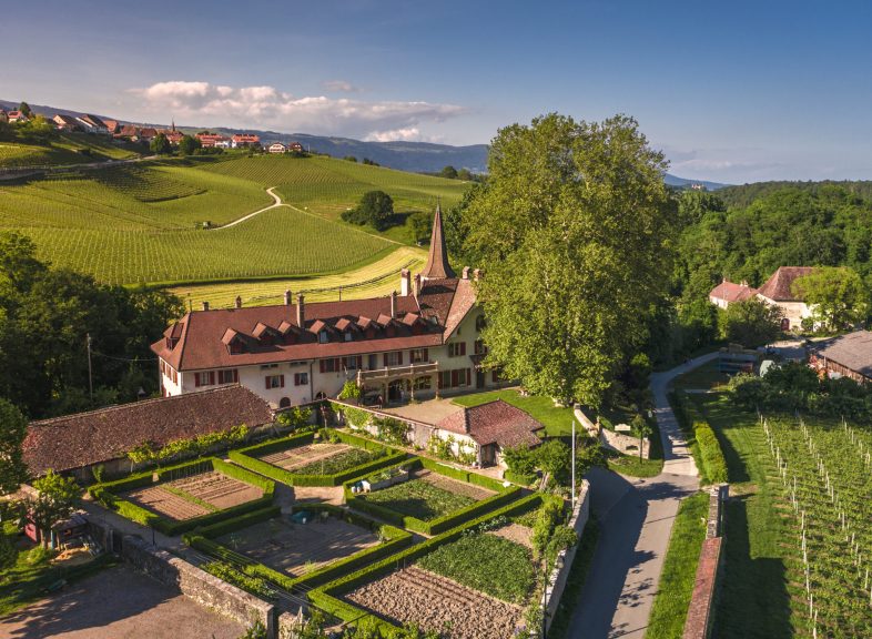 Domaine du Manoir 1 © Domaine du Manoir